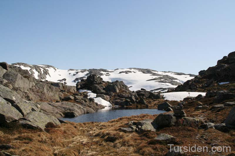 Fjellvann